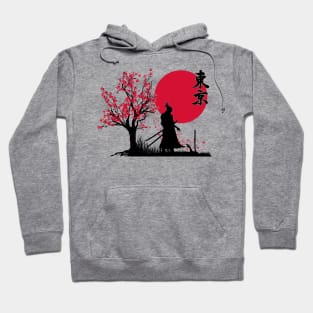 Samurai Story | HDR Graphics Japanese Art Hoodie